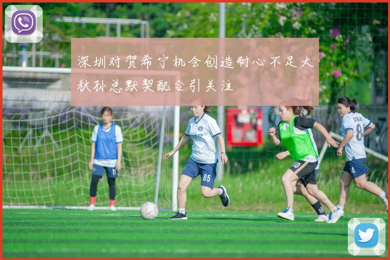 深圳对贺希宁机会创造耐心不足大秋孙总默契配合引关注